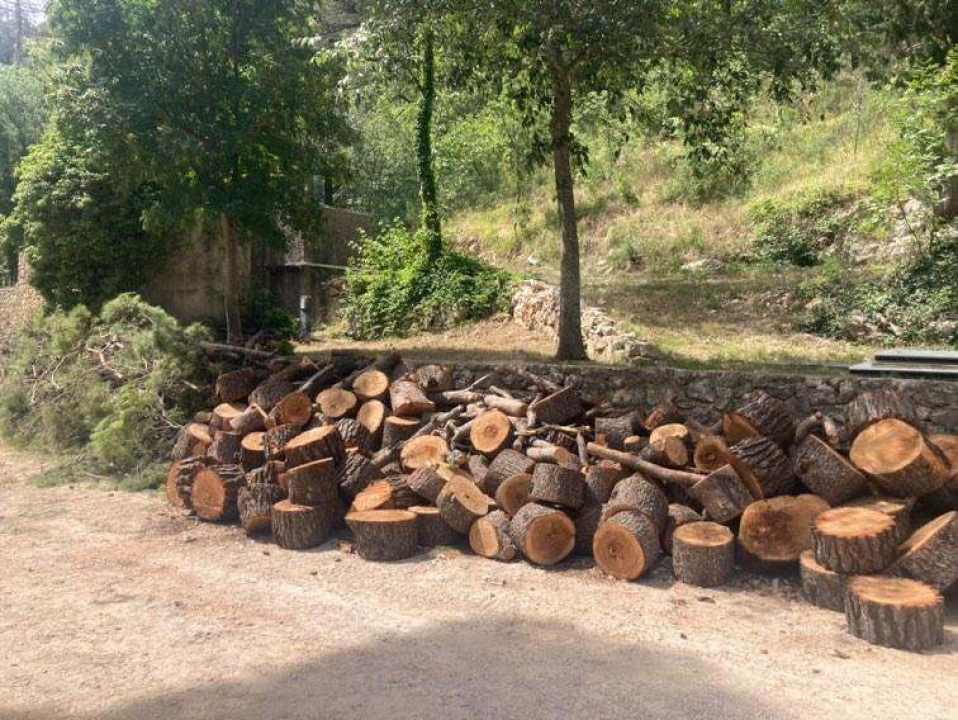 Uznemireni čitatelji snimili posječena stabla na Krki, iz NP-a poručuju: 'Bila su u vrlo lošem stanju'