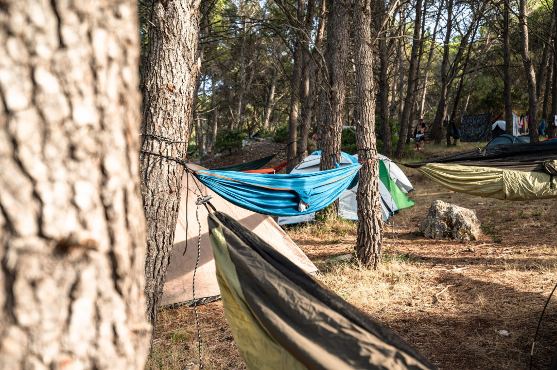 Zbog ove fotogalerije pokajat ćete se što niste otišli na Zlarin Street Music Festival!