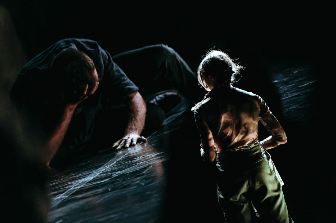 Zvuk tišine, pasivna ljubav i ljudska prolaznost – teme impresivnih koreografija izvedenih druge večeri ŠDF-a