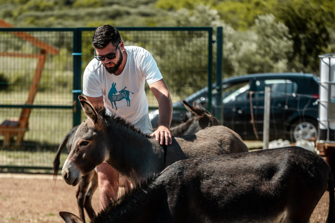 Za magarce na farmi 'Ćušin raj' brine se cilo misto: 'Mještani donose hranu, a djeca zaborave na mobitele'