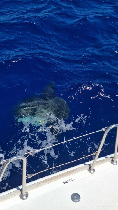 Morska avantura posade ŠibenikIN-a: Jako jugo, promjena ruta i nezaboravni dani na prekrasnoj jedrilici