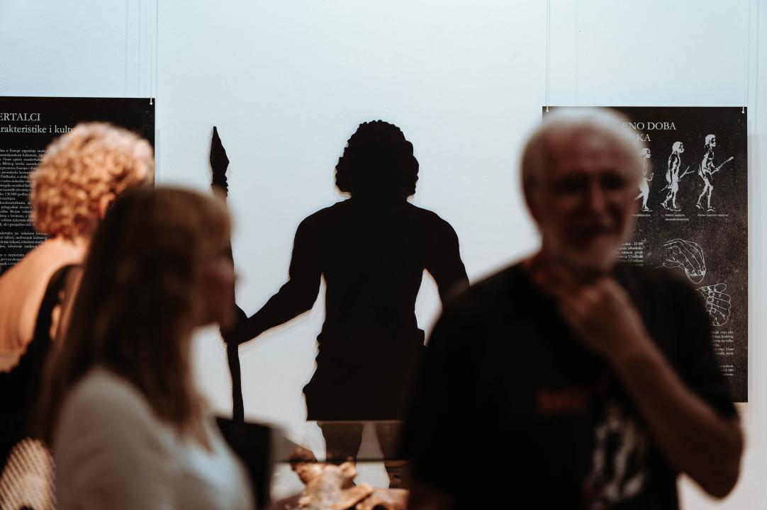 U Muzej ‘stigao’ stepski mamut iz Slavonskog Broda: ‘I Drniš svog mamuta ima'