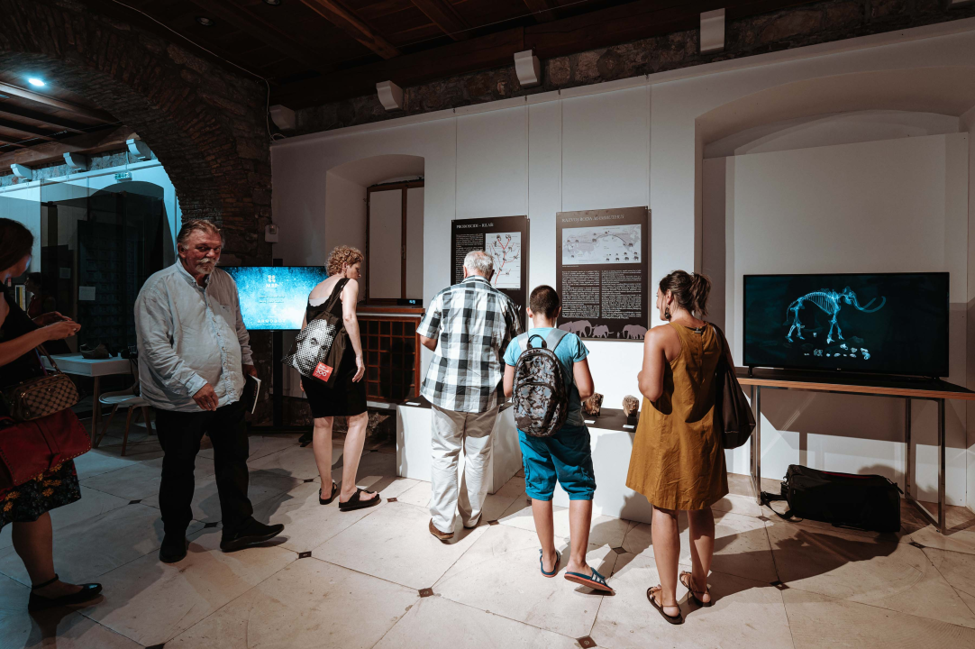 U Muzej ‘stigao’ stepski mamut iz Slavonskog Broda: ‘I Drniš svog mamuta ima'