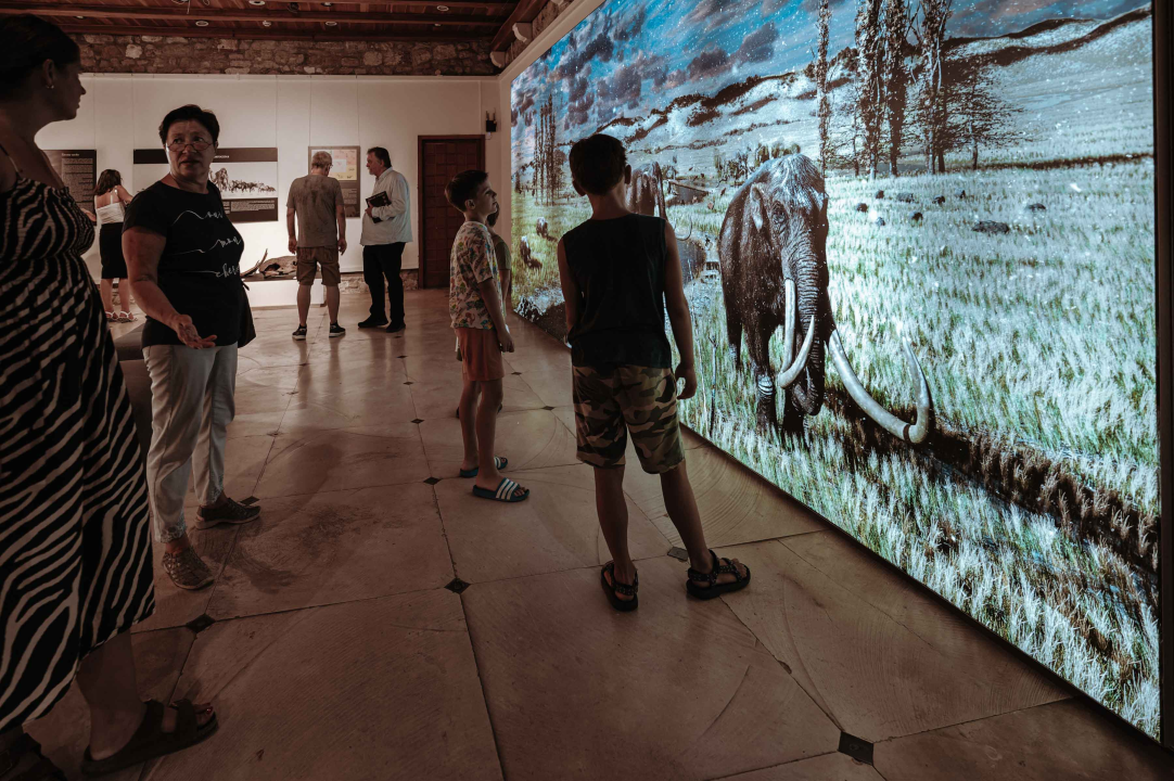 U Muzej ‘stigao’ stepski mamut iz Slavonskog Broda: ‘I Drniš svog mamuta ima'