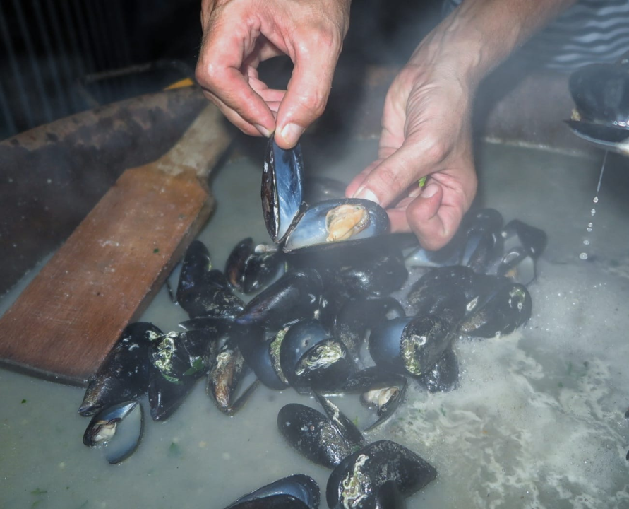 Pogledajte kako je bilo na tradicionalnoj Zatonskoj pidočijadi