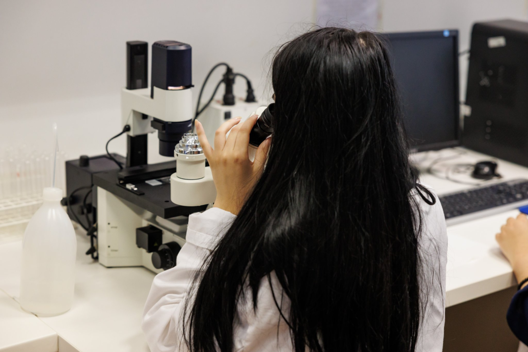 Na jesenskom roku upišite Veleučilište 'Marko Marulić' u Kninu!