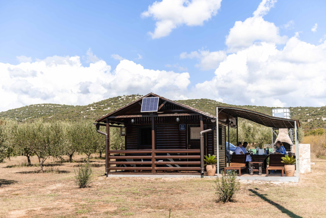 Krešimir Uroda vratio se u Pirovac, oživio maslinik i danas je njegovo ulje među najboljim u svijetu