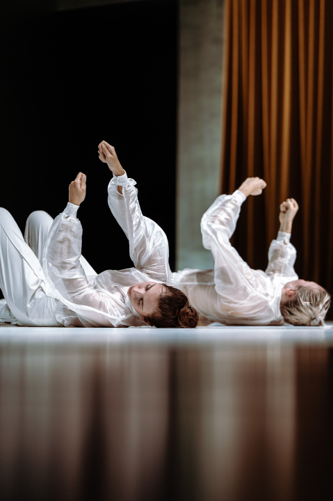 Strahovi malih razlika u Arsenu: Pitanja individualnog i kolektivnog, svjesnih i nesvjesnih obilježja sredine