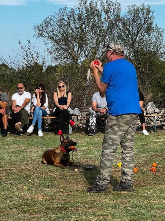 Seminar za ljubitelje pasa održan na Pokrovniku: 'Svaki pas uz puno rada i ljubavi može postati Tigar' 