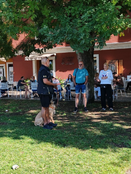 Tko preko Šibenskih šapa udomi psa, dobit će na dar godišnju kartu za NP Krka