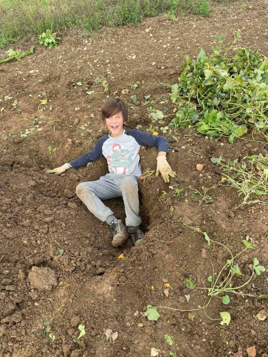  Obitelj Beader na Petrovom polju uzgojila batat težak 4,2 kilograma: 'Ovaj kraj ima toliko neiskorištenog potencijala'