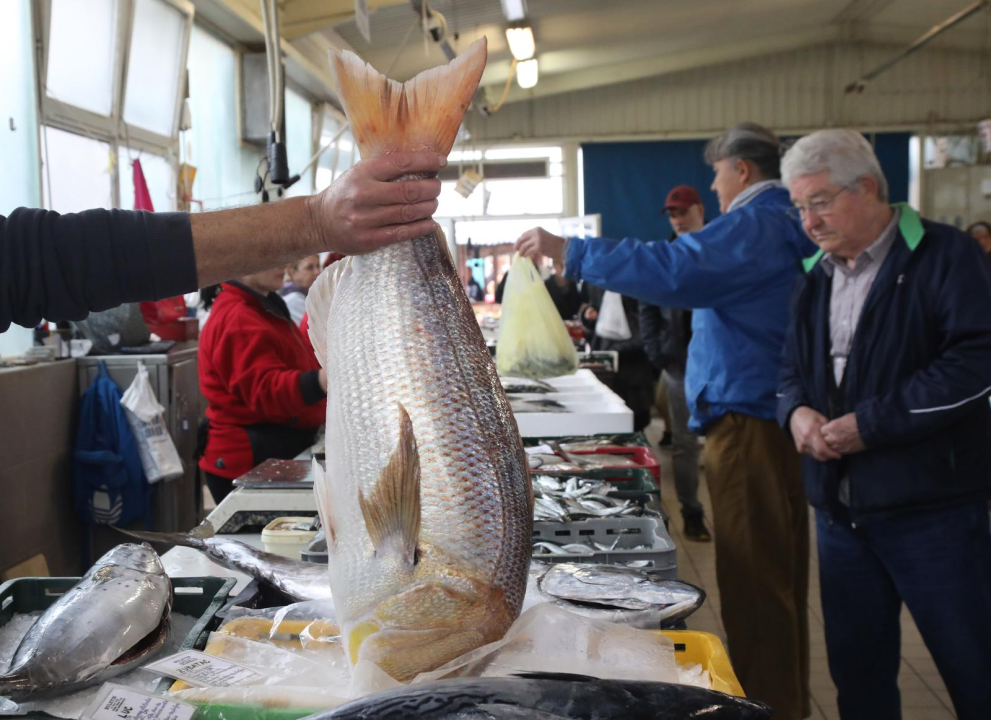 Kako kažu, jutros su na šibenskoj peškariji prodali najvećeg ovogodišnjeg 'Cara od rib': Otputovao je za Zagreb 