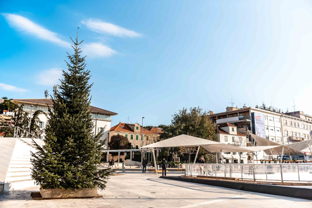 Stigao blagdanski bor na Poljanu