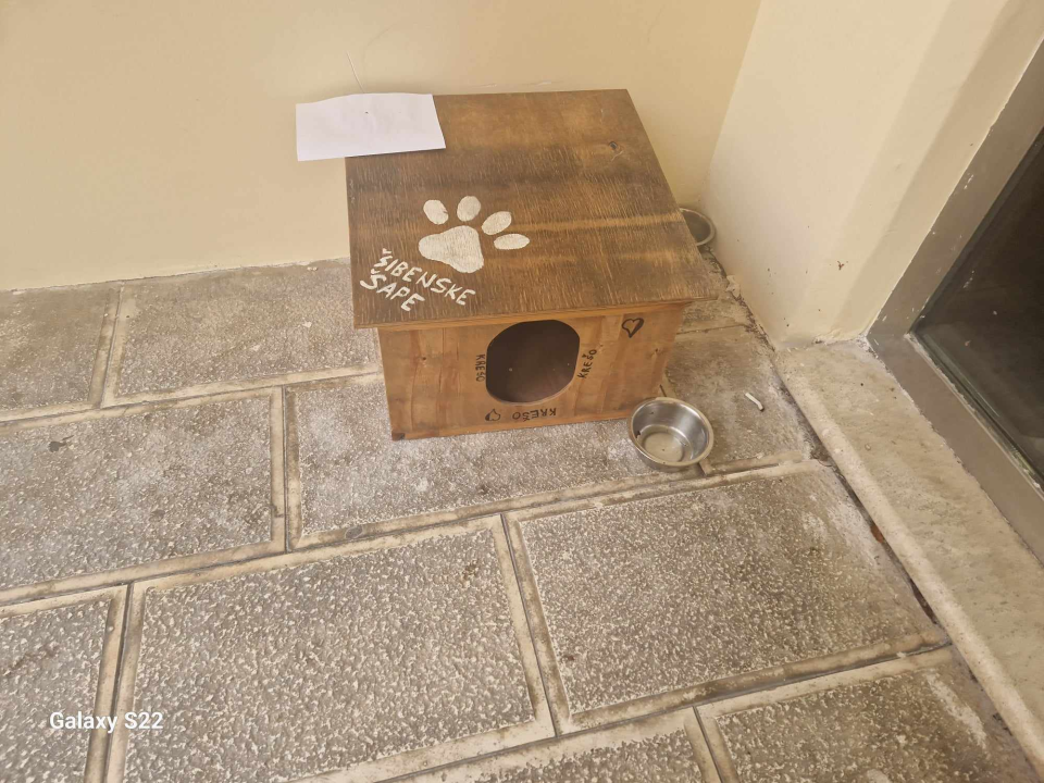 Šibenčani gradskim mačkama grade kućice: 'Mile rado spava u svojoj'