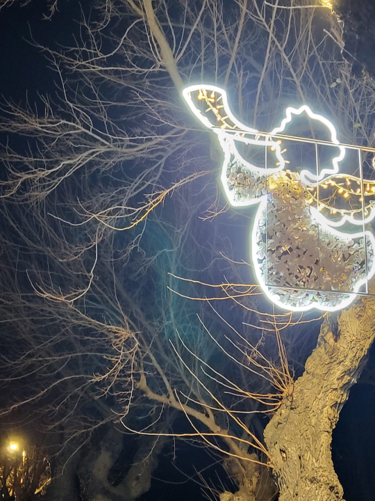 Ne propustite ovogodišnji Advent pod murvom u Skradinu! 