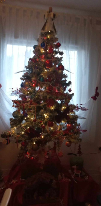 Provjerite tko su pobjednici izbora za naj jelku!