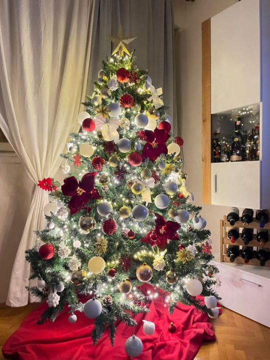 Provjerite tko su pobjednici izbora za naj jelku!