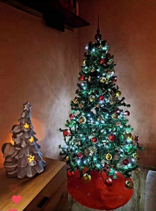 Provjerite tko su pobjednici izbora za naj jelku!