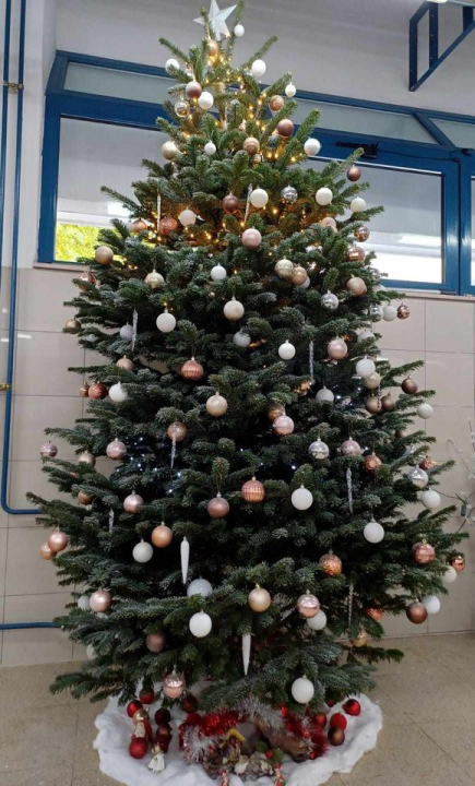 Provjerite tko su pobjednici izbora za naj jelku!