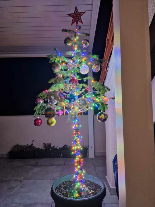 Provjerite tko su pobjednici izbora za naj jelku!