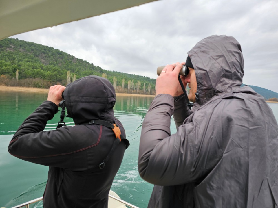 Zimsko prebrojavanje ptica vodarica u NP Krka: Najviše je liski, zabilježeno još 20 vrsta