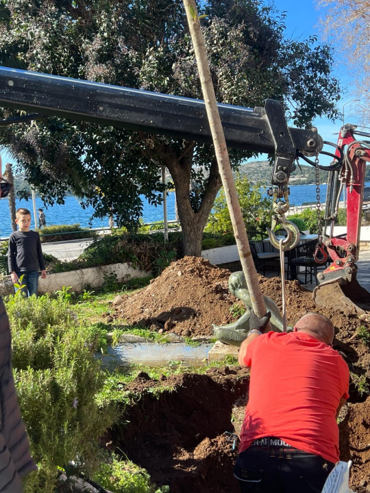 Nakon medijske kritike, Zeleni grad posadio novo stablo ispred hotela Jadran