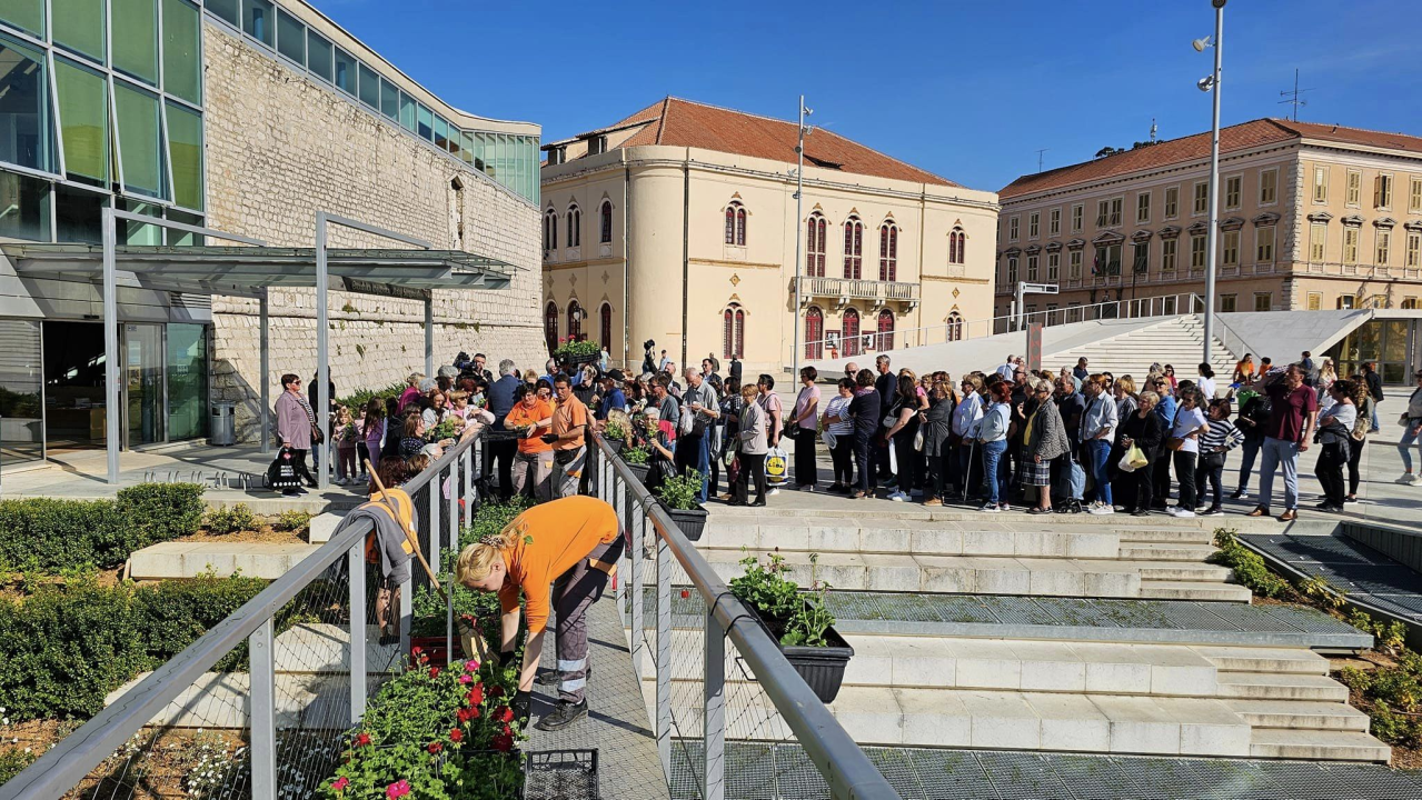 Gužva na Poljani: Šibenčani cvijeće najviše vole kad je besplatno