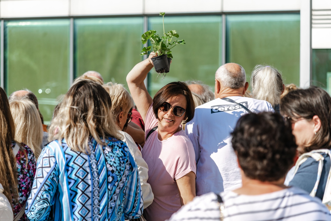 Gužva na Poljani: Šibenčani cvijeće najviše vole kad je besplatno
