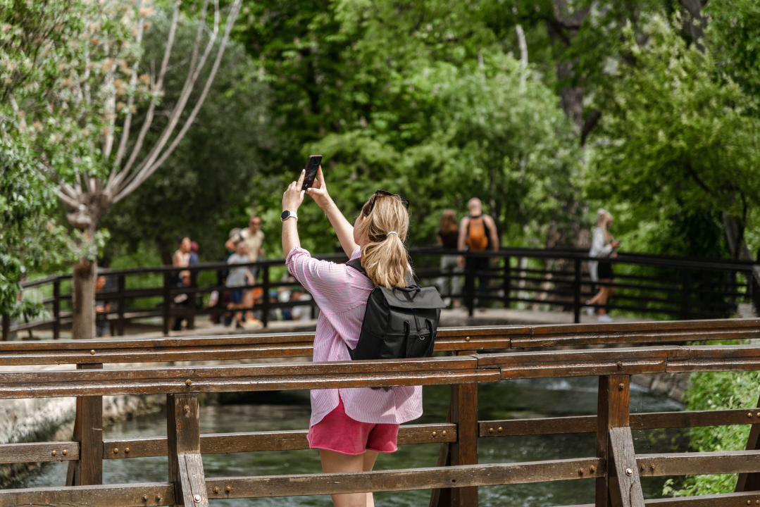 Podijeljeno tisuću sadnica lavande i lovora: 'Želimo očuvati naše ekosustave i poticati bioraznolikost' 