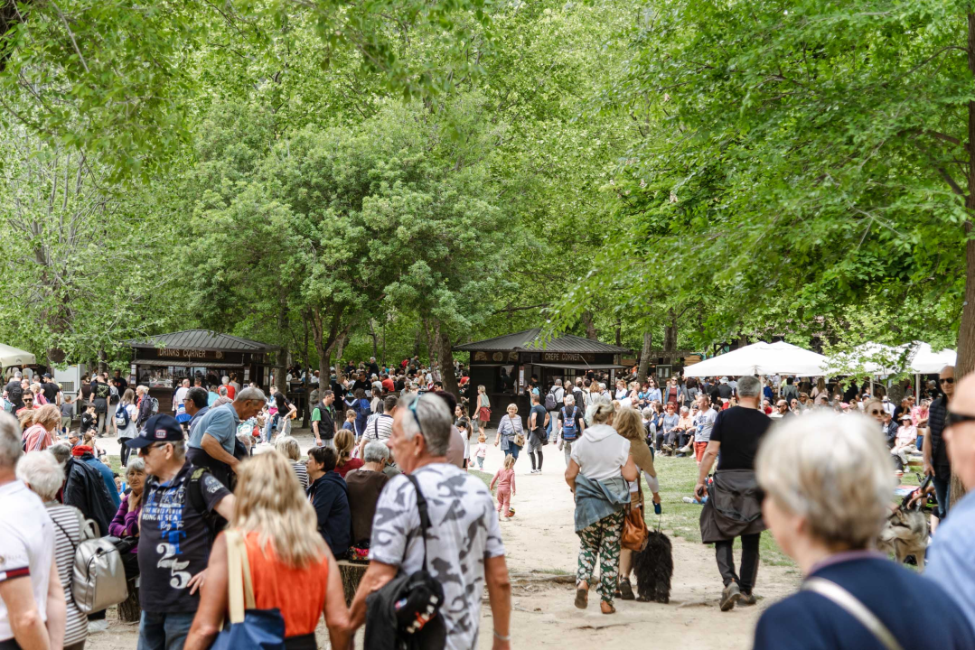 Podijeljeno tisuću sadnica lavande i lovora: 'Želimo očuvati naše ekosustave i poticati bioraznolikost' 