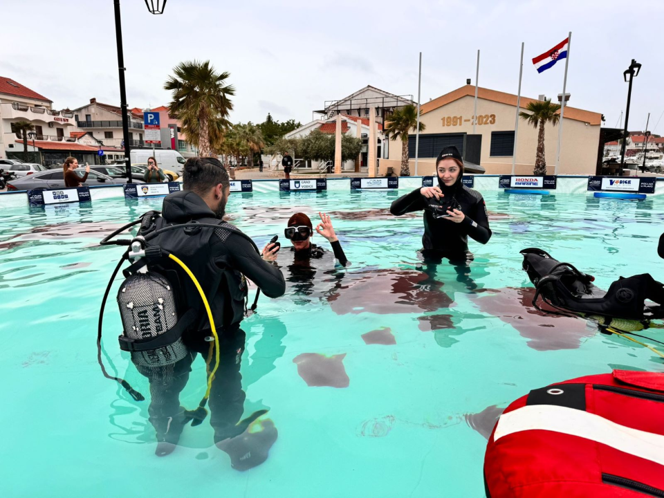 Pogled u plavo i velika ekološka akcija čišćenja vodičkog podmorja 