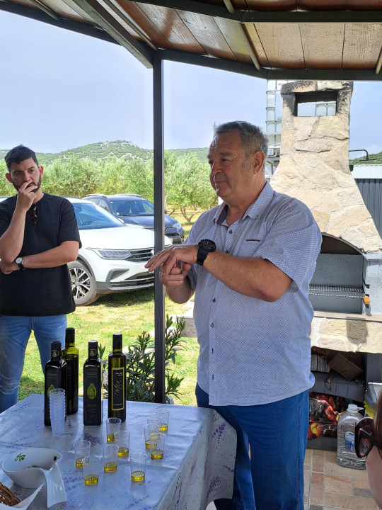 Šibenski studenti na OPG-u Uroda učili o značenju maslinovog ulja kao lijeka i hrane