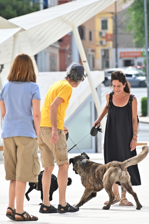 FOTO Đir po gradu, nedjelja 9. lipnja