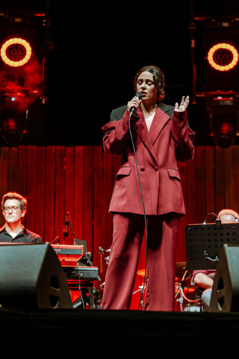 Šibenik je dva dana pjevao njegove pjesme: 'Arsen je dio svačijeg odrastanja'