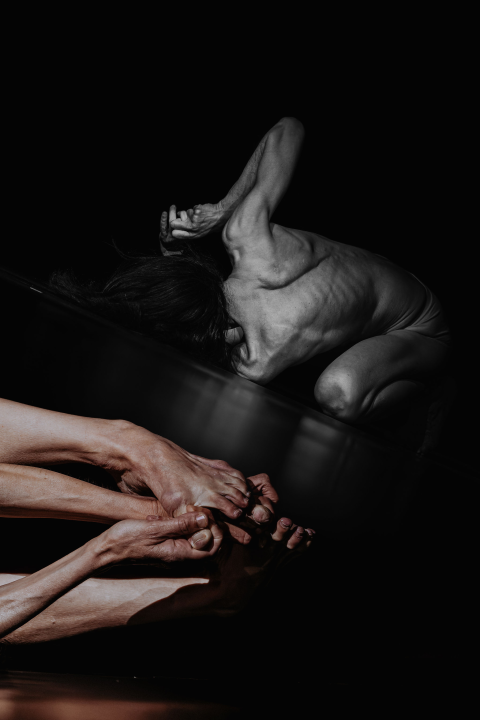 Anatomija zagrljaja i preispitivanje percepcije vlastitog tijela na tvrđavi Barone