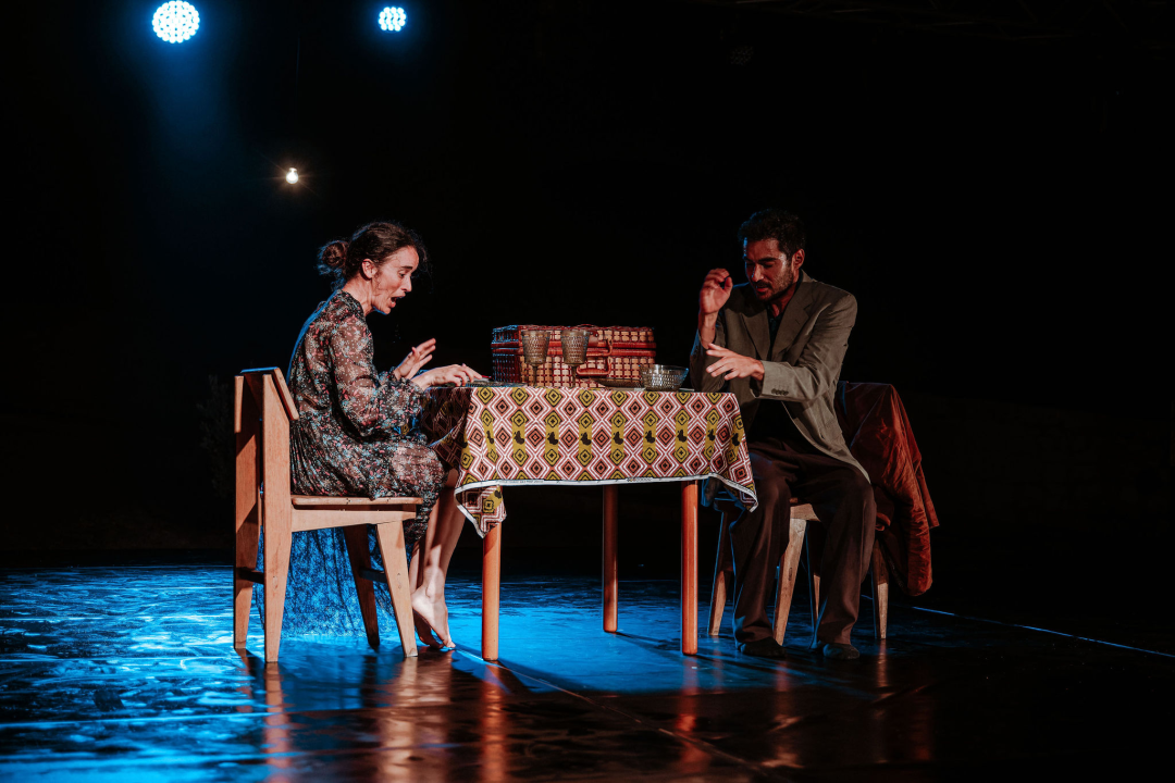 Izvedba ispunjena snažnim emocijama dotaknula je publiku i zaokružila 13. izdanje Šibenik Dance Festivala 