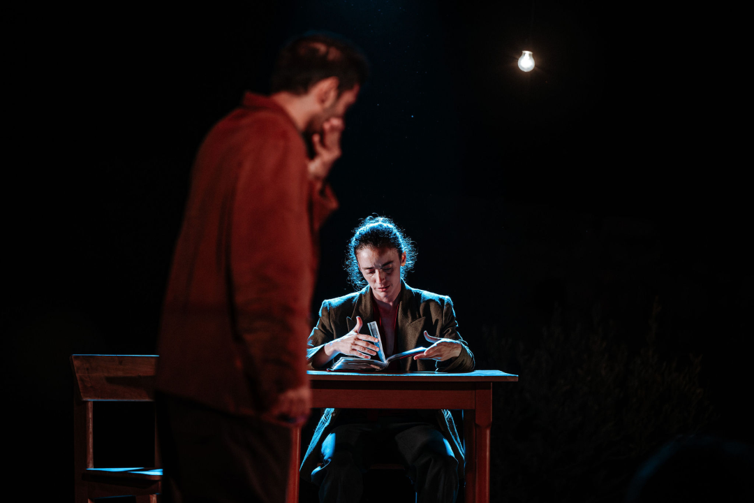 Izvedba ispunjena snažnim emocijama dotaknula je publiku i zaokružila 13. izdanje Šibenik Dance Festivala 