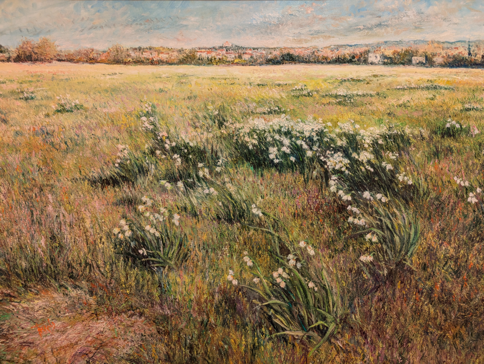 Otvorena izložba Harolda Frkovića 'Moj kraj' 