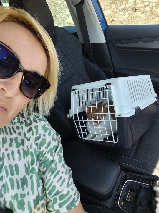 Mače koje je bešćutno izbačeno na ulicu, pronašlo novi dom na Ivaninoj farmi: 'Predobra je'