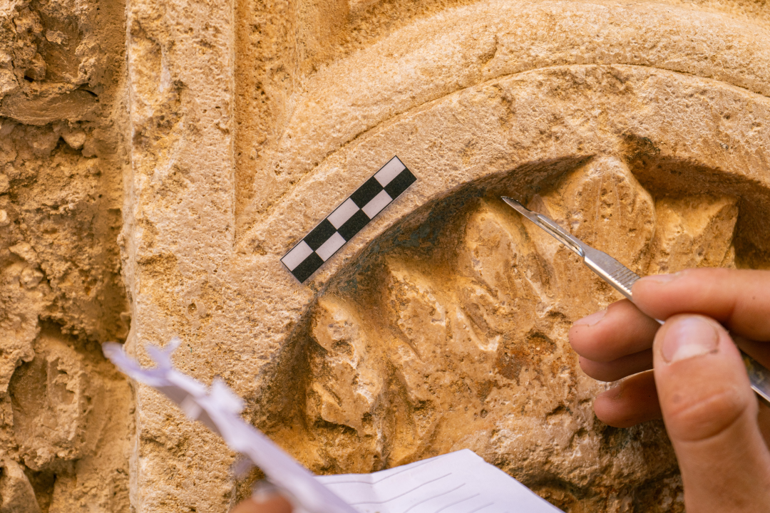 Uspješno završen trodnevni #ConserveUs festival Šibenik 2024