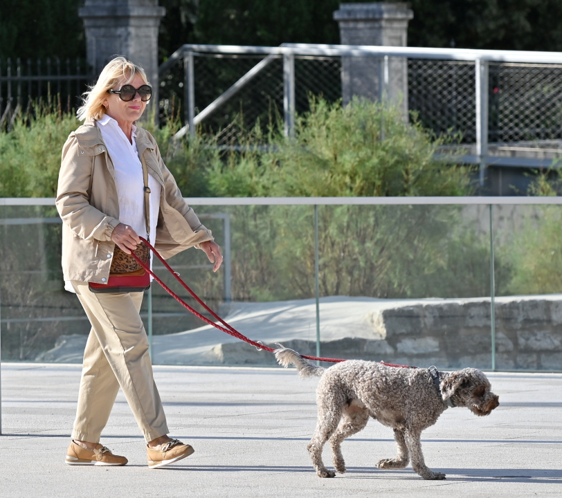 FOTO Đir po gradu, utorak 8. listopada