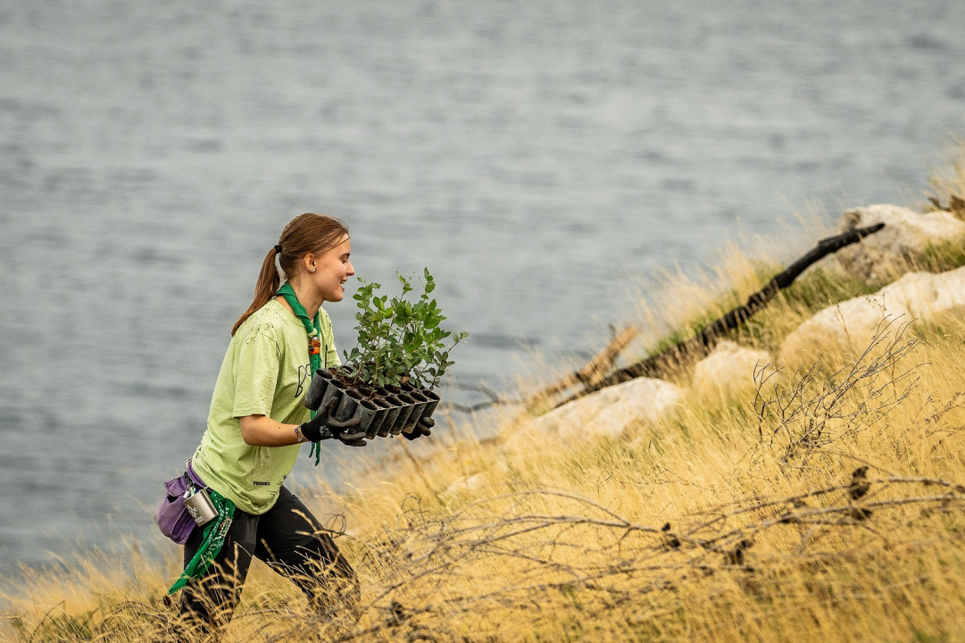Gotovo 1000 volontera sudjelovalo u pošumljavanju Grebaštice
