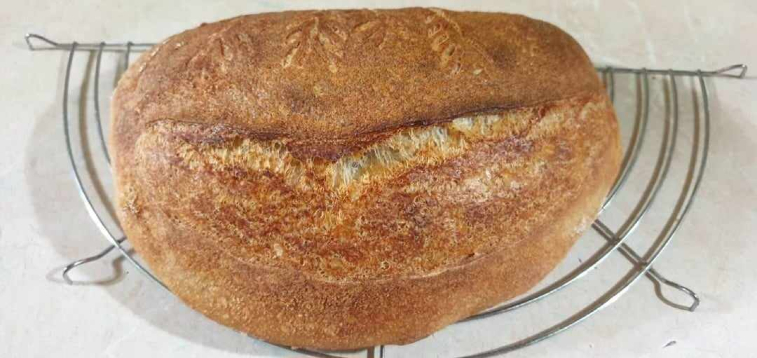Recept za sourdough kruh Sanje Antunac od durum pšenice