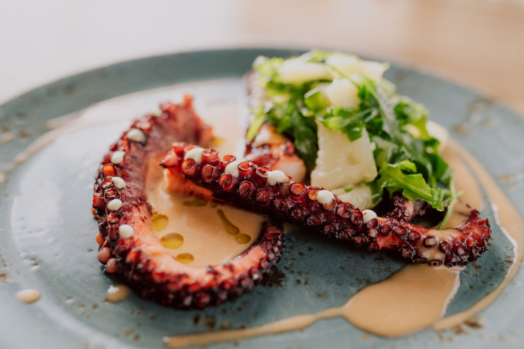 Kod Starog vas očekuju vrhunski meniji za svaki domjenak! 