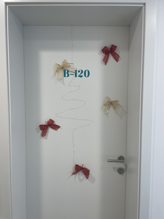 U studentskom domu Palacin nagrađena najljepše uređena vrata