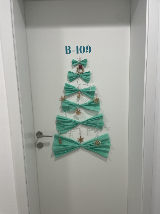 U studentskom domu Palacin nagrađena najljepše uređena vrata