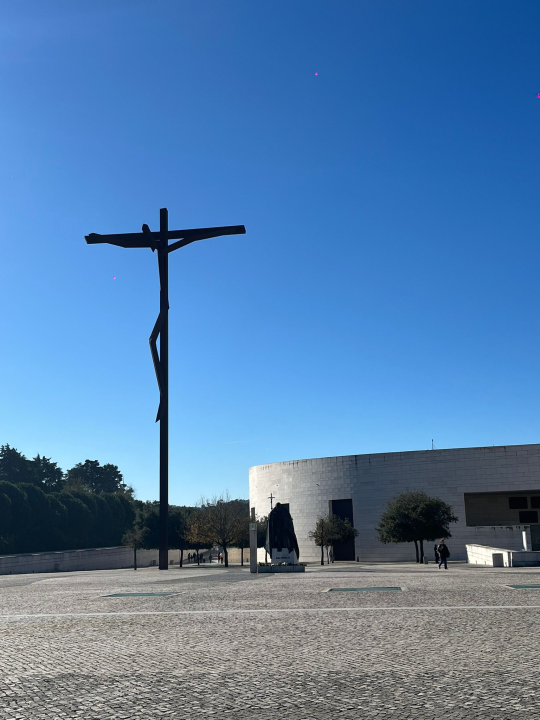 Studijsko putovanje: Šibenski budući medicinski, laboratorijski i farmaceutski tehničari  dva tjedna usvajali znanja u Portugalu