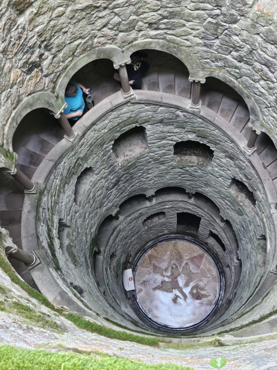 Studijsko putovanje: Šibenski budući medicinski, laboratorijski i farmaceutski tehničari  dva tjedna usvajali znanja u Portugalu