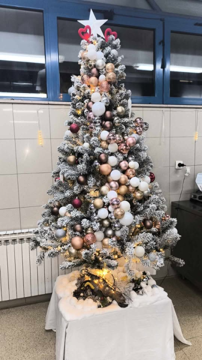 Provjerite tko su pobjednici izbora za naj jelku!