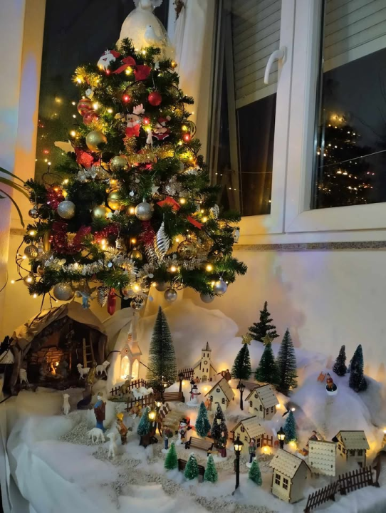 Provjerite tko su pobjednici izbora za naj jelku!